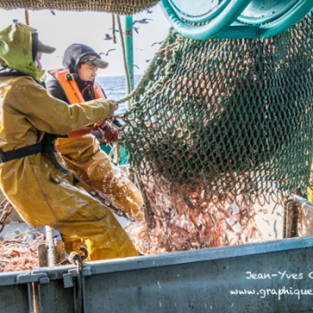 Reportage photo sur métier de pêcheur de langoustines